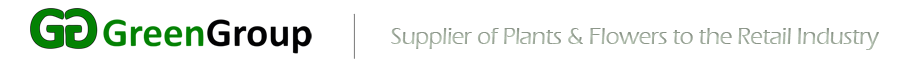 Scanbroker International Ltd